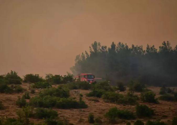 Balıkesir'deki orman yangını kontrol altına alındı 8